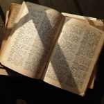 Dolmetschen in Krisenzeiten: Wie Sprache Brücken schlägt